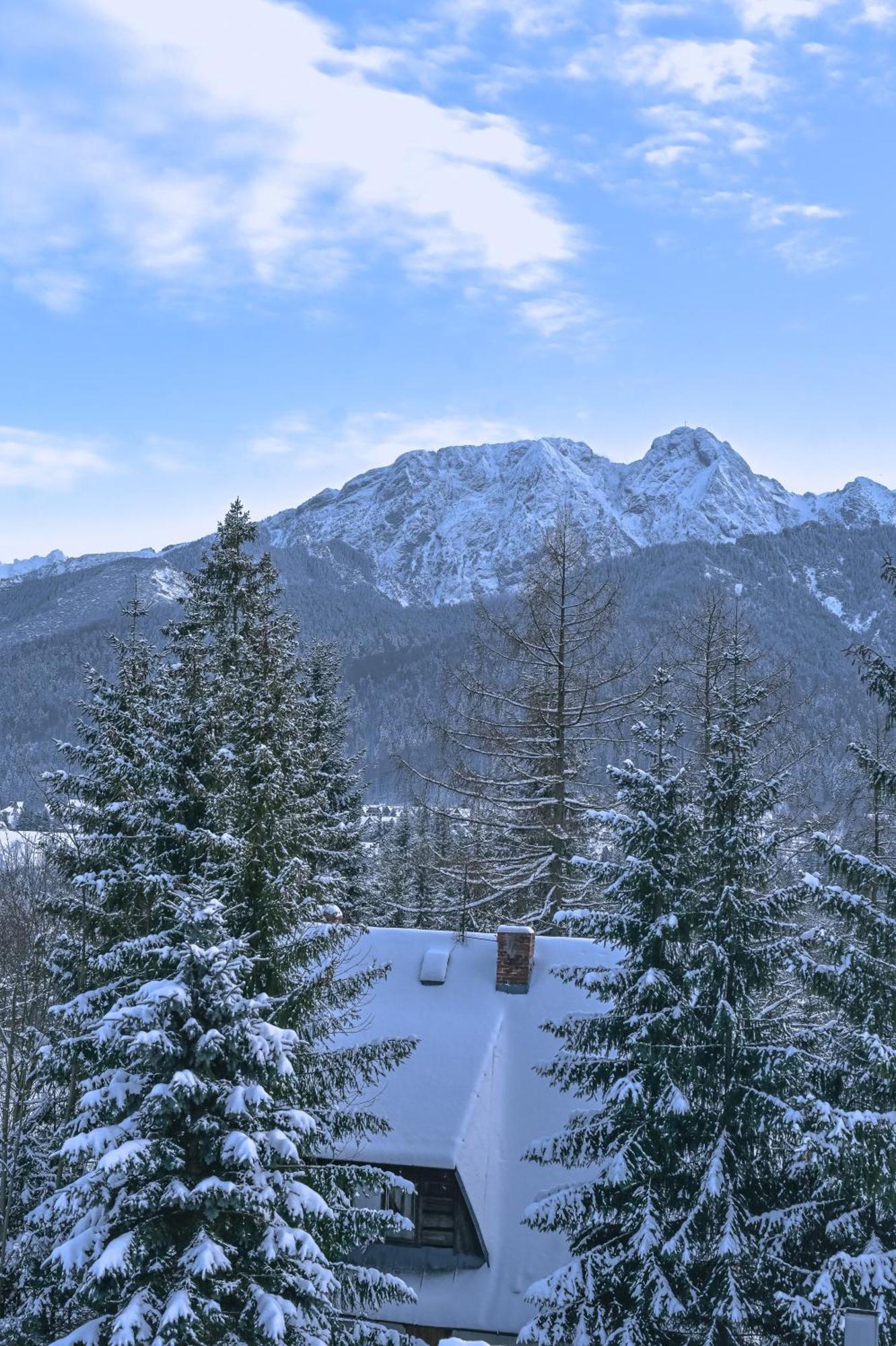 Villagiewont